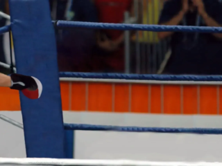 Introduite aux Jeux olympiques d&#039;été de 1904 à Saint-Louis, la boxe s&#039;est élargie pour inclure la boxe féminine en 2012 à Londres