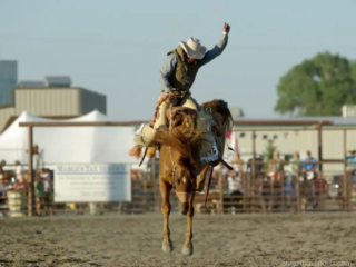 La monta del bronco, una de las pruebas m&aacute;s dif&iacute;ciles del rodeo, tiene sus ra&iacute;ces en los primeros tiempos del Salvaje Oeste, cuando se montaba a los caballos para domarlos