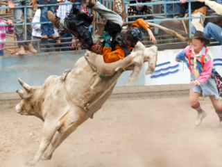 Llamada "los 8 segundos m&aacute;s peligrosos del deporte", la monta de toros ha ganado popularidad internacional, mostrando las habilidades y el atletismo tanto de los jinetes como de los toros