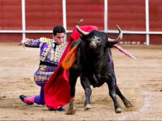 Bullfighting, facing challenges related to changing cultural attitudes, has a long and intricate history deeply rooted in Spanish and Mediterranean cultures
