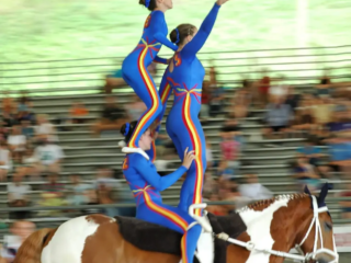 Cautivador tanto para los participantes como para los espectadores, el salto ecuestre, que combina atletismo, arte y equitaci&oacute;n, se remonta a hace m&aacute;s de dos mil a&ntilde;os