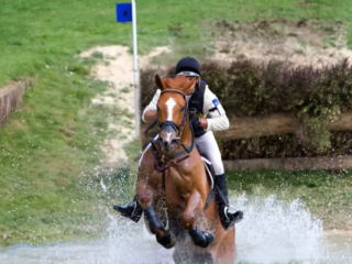 El concurso completo, tambi&eacute;n conocido como pruebas h&iacute;picas, es un evento ecuestre en el que un solo caballo y un solo jinete compiten en las disciplinas de doma cl&aacute;sica, campo a trav&eacute;s y salto de obst&aacute;culos