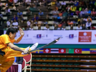 Wushu, "martial arts" in Chinese, has a rich and diverse history deeply rooted in Chinese culture, encompassing various martial arts styles and techniques