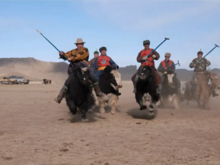 Introducido en Mongolia en el a&ntilde;o 2000, el yak polo se ha hecho popular entre la poblaci&oacute;n local y los turistas, donde la imprevisibilidad de los yaks es tan divertida como la puntuaci&oacute;n