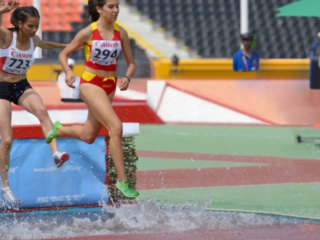Le steeple-chase, célèbre pour sa combinaison unique d&#039;endurance, de vitesse et de compétences techniques, est une course d&#039;obstacles originaire d&#039;Irlande, où les clochers étaient utilisés comme marqueurs en raison de leur visibilité sur de longues distances