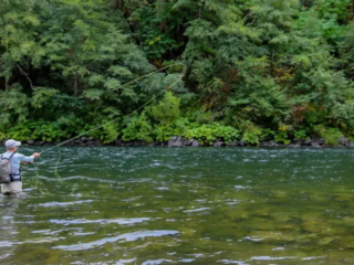 Fly fishing, a sport renowned for its skill, precision, and deep connection to nature, has a rich community and cultural heritage with dedicated enthusiasts worldwide