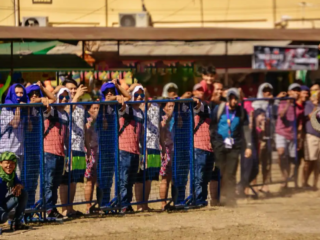 Las carreras de carabao son un emocionante deporte tradicional de Filipinas en el que los jinetes gu&iacute;an h&aacute;bilmente a poderosos b&uacute;falos de agua a trav&eacute;s de pistas fangosas, mostrando la velocidad y el profundo v&iacute;nculo entre el granjero y la bestia