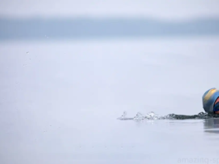 Open water swimming is a thrilling endurance sport where athletes navigate unpredictable natural waters, battling waves, currents, and competitors over long distances in a true test of strength and strategy