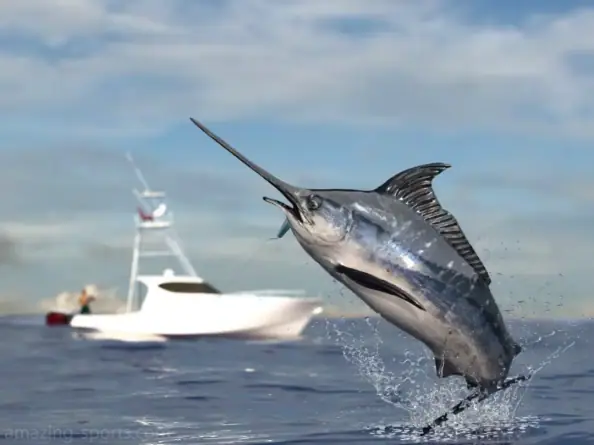 Marlin Fishing Marlin fishing is an exciting and high-stakes sport where anglers battle powerful, fast-swimming giants in a thrilling test of strength, skill, and endurance on the open sea