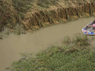 Originating in South Australia, the Dinghy Derby has grown from a local challenge into a high-octane spectacle, where fearless racers navigate tight bends, submerged logs, and roaring waters in a breathtaking display of skill and endurance