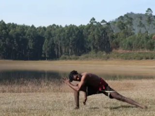 Kalaripayattu Le Kalaripayattu est originaire de l'ancien Kerala et compte parmi les arts martiaux les plus anciens du monde. Il a évolué au fil des siècles, passant des premières traditions guerrières dravidiennes à un système discipliné de combat, de maniement des armes et d'entraînement physique